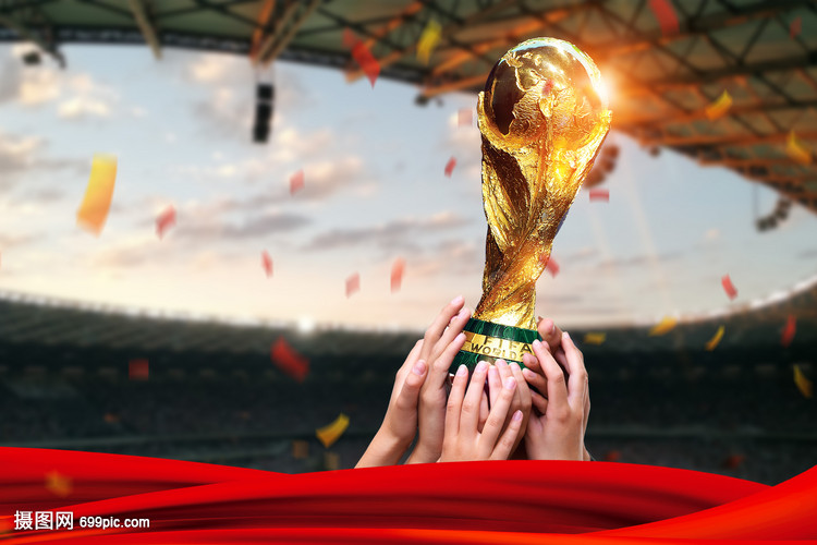 仅提供了对 仅提供了对